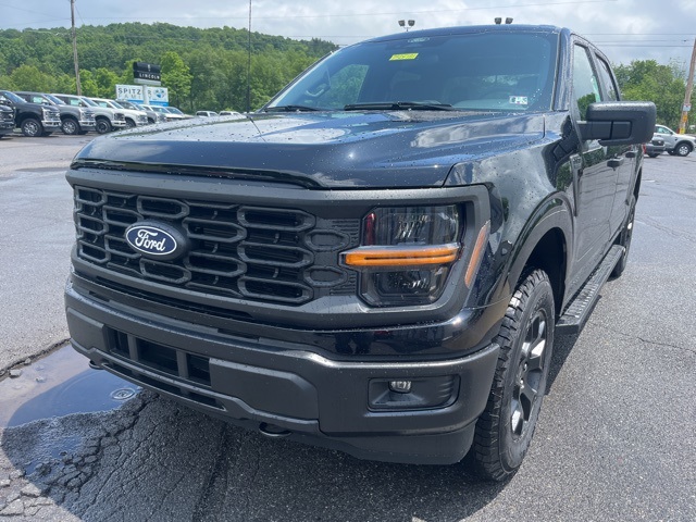 2025 Ford F-150 STX photo 3