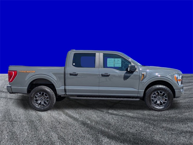2021 Ford F-150 Tremor photo 3