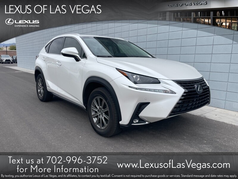 2019 Lexus NX Hybrid 300h's photo