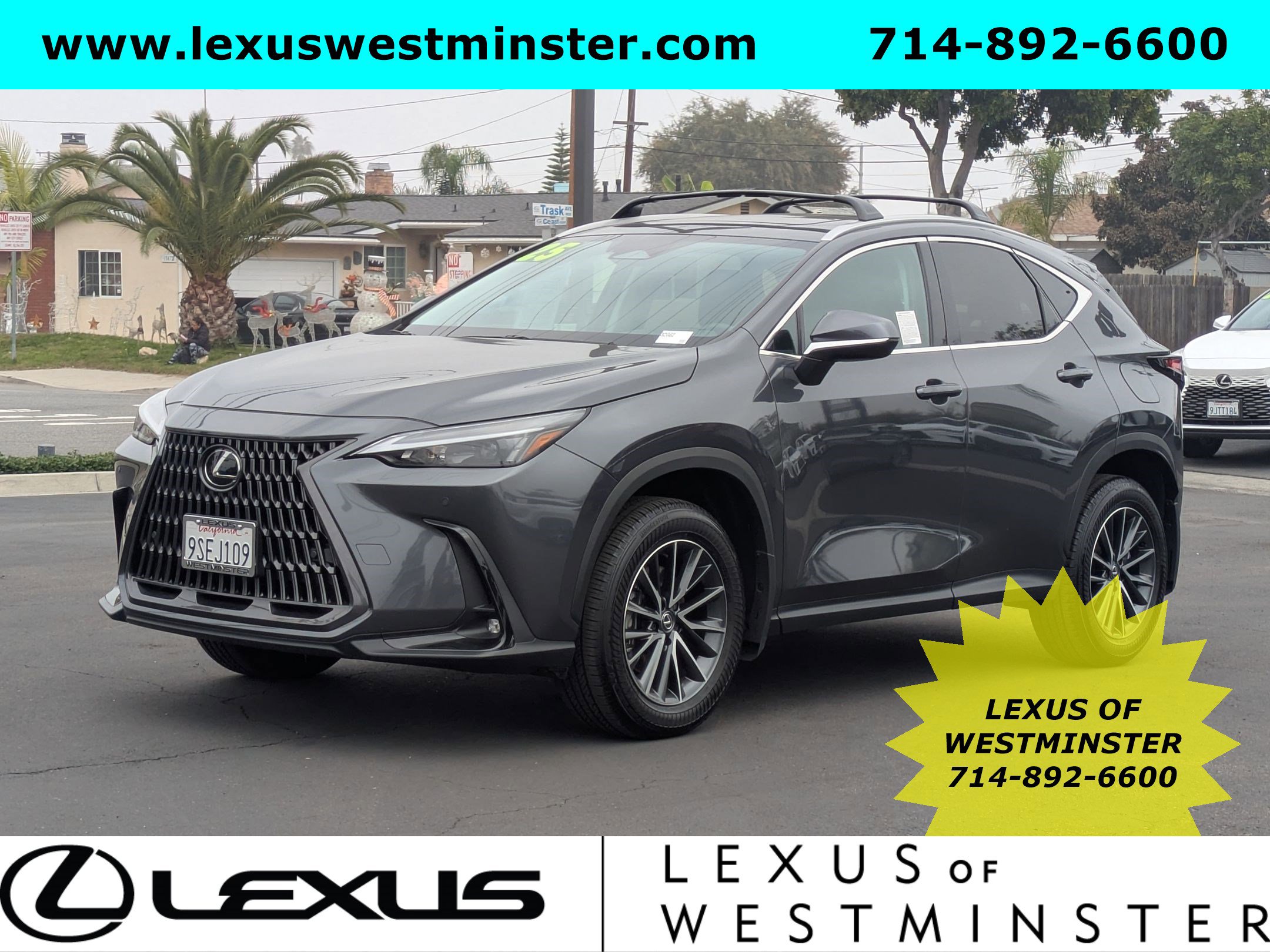 2025 Lexus NX 250's photo