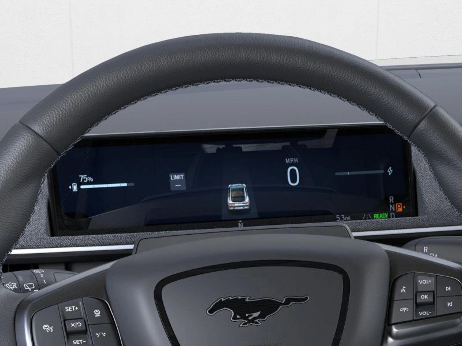 2025 Ford Mustang Mach-E GT photo 13