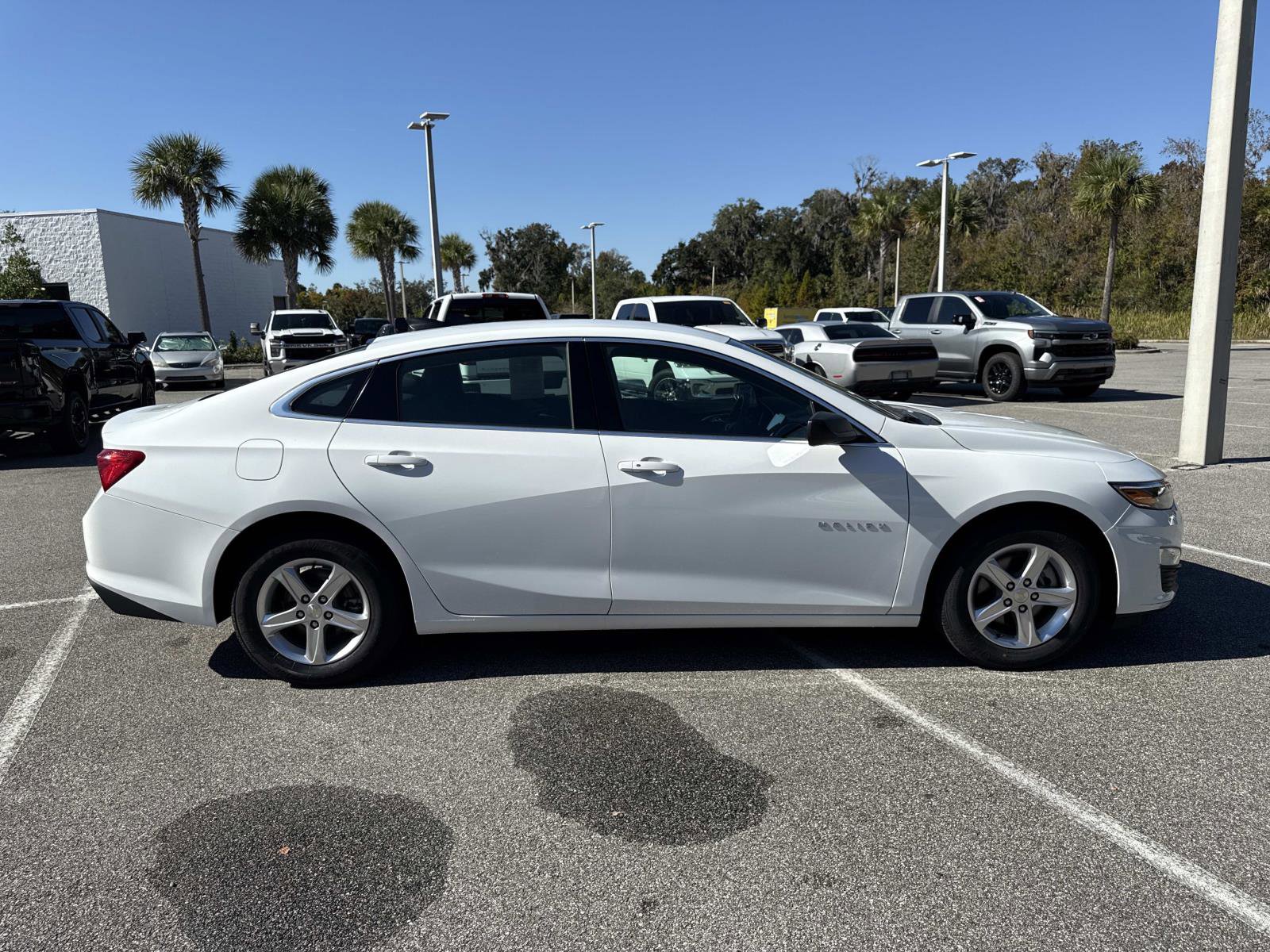 2023 Chevrolet Malibu 1LS's photo