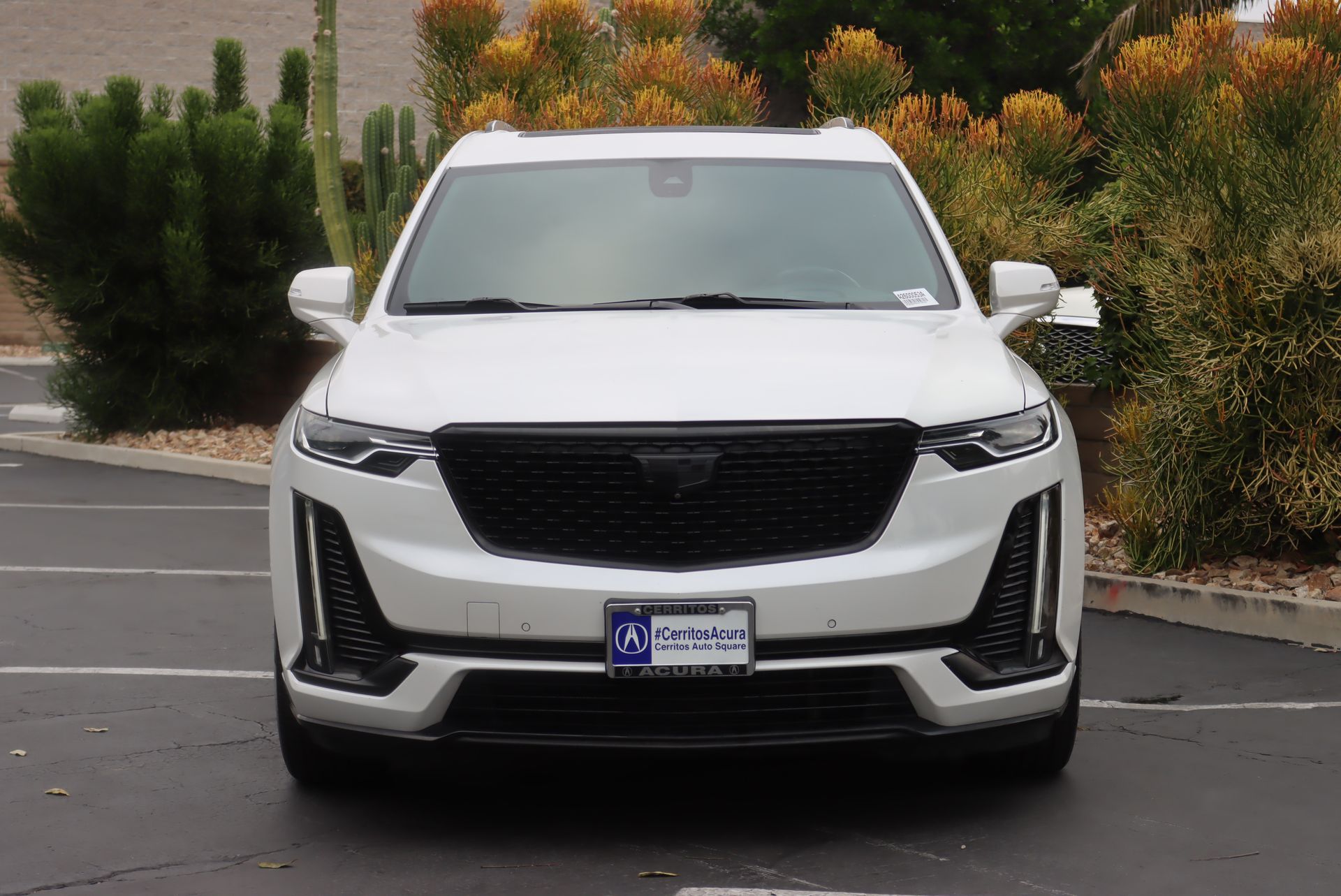 2020 Cadillac XT6 Premium Luxury photo 3