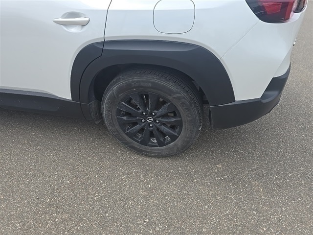 2024 Mazda CX-50 2.5 S Preferred photo 15