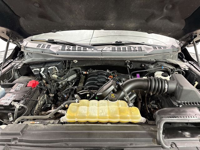 2019 Ford F-150 Platinum photo 28