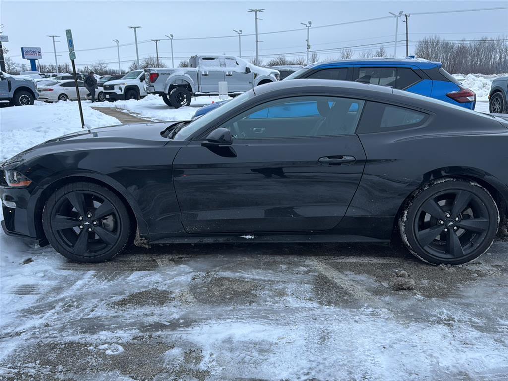 2022 Ford Mustang EcoBoost's photo