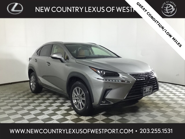 2021 Lexus NX Hybrid 300h's photo