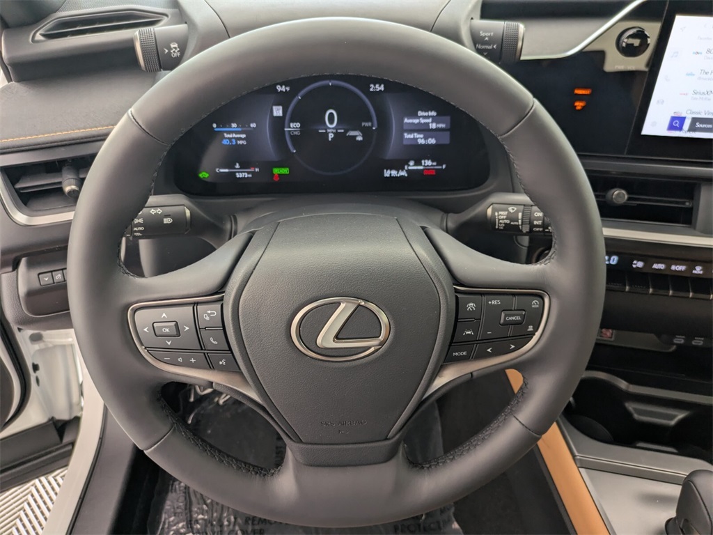 2025 Lexus UX photo 18