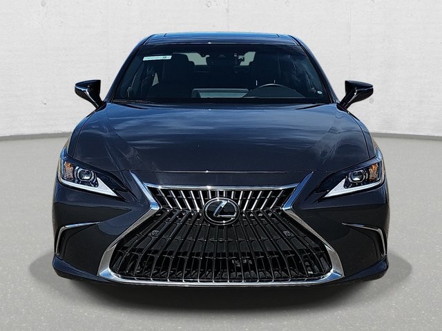 2025 Lexus ES 300h Luxury photo 2