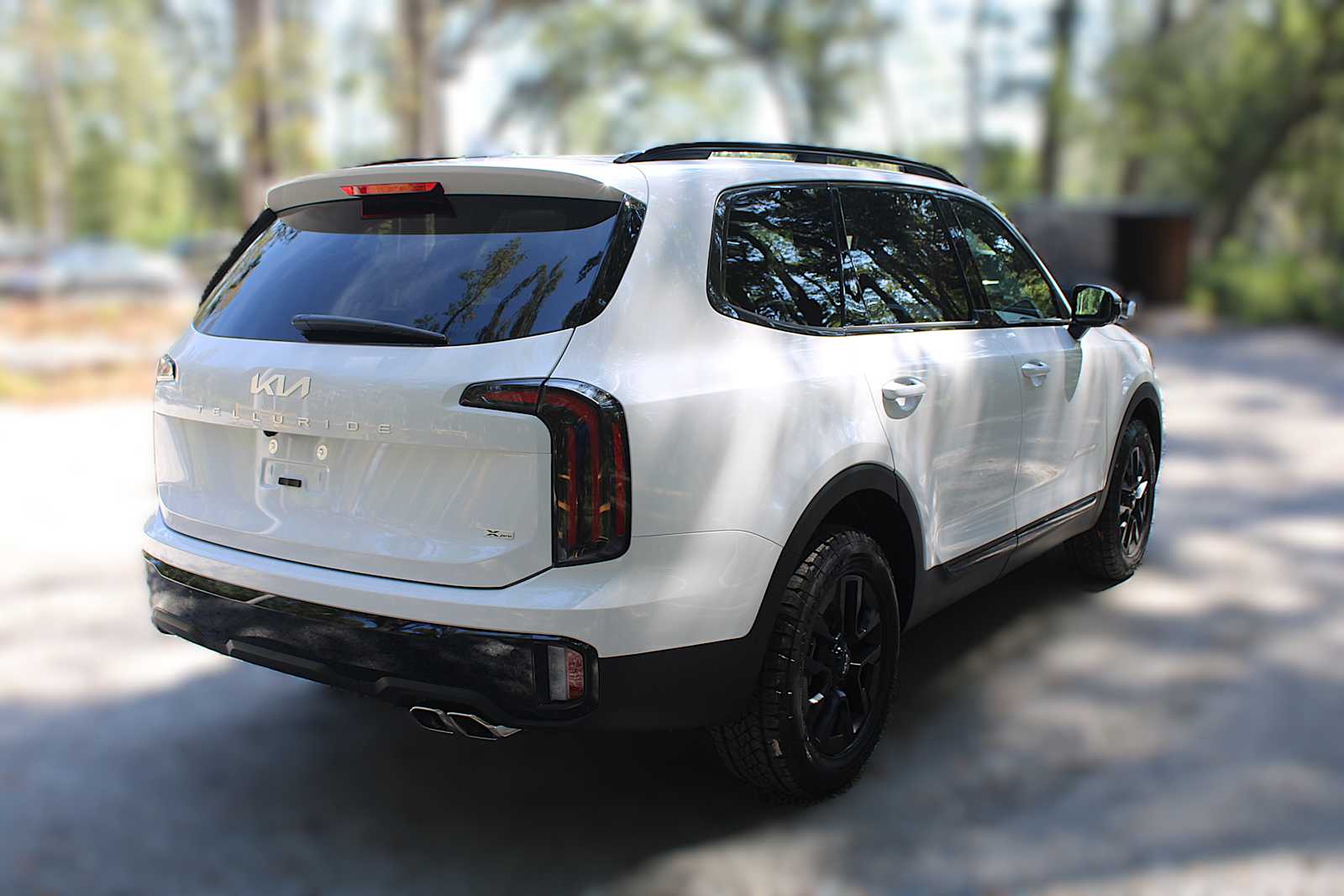 2025 Kia Telluride SX X-Line photo 11
