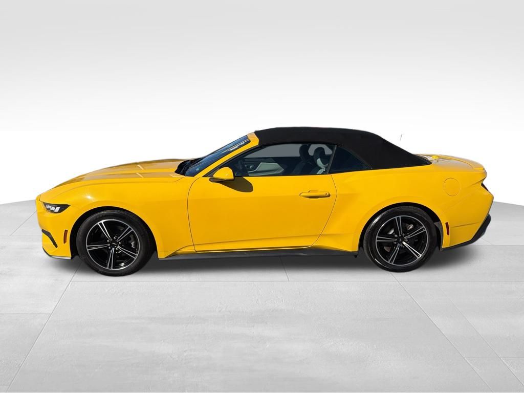 2024 Ford Mustang EcoBoost Premium photo 3