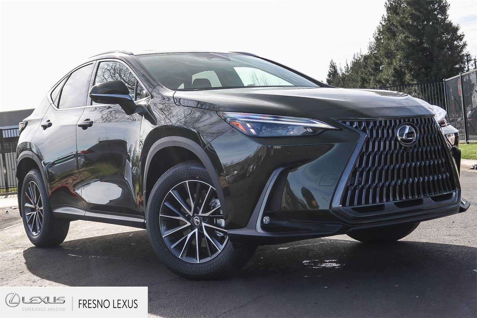 2026 Lexus NX Hybrid 350h's photo