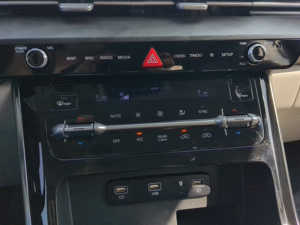2022 Kia Carnival SX photo 6