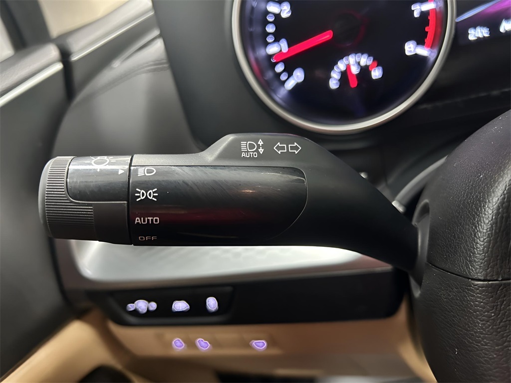 2024 Kia Carnival LX photo 14