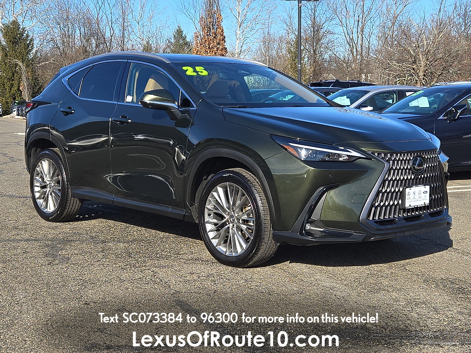 2025 Lexus NX Base's photo