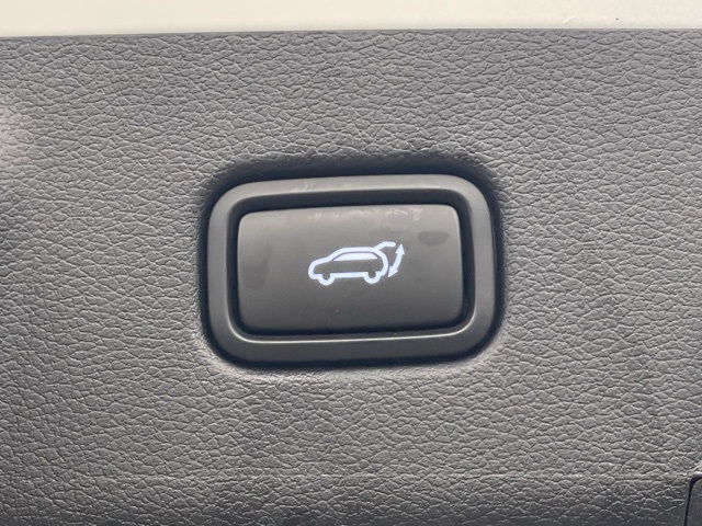 2024 Hyundai Palisade Calligraphy photo 8