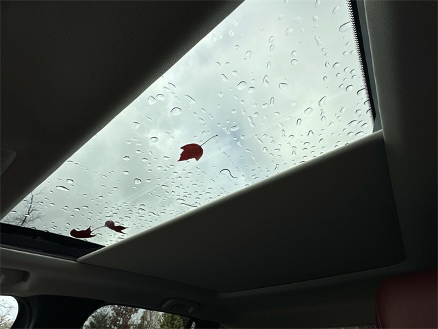 2026 Mazda CX-50 Premium Plus photo 3