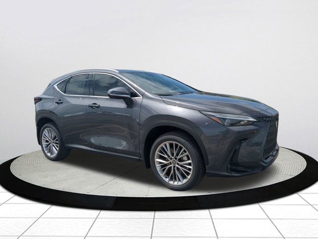 2025 Lexus NX 350's photo