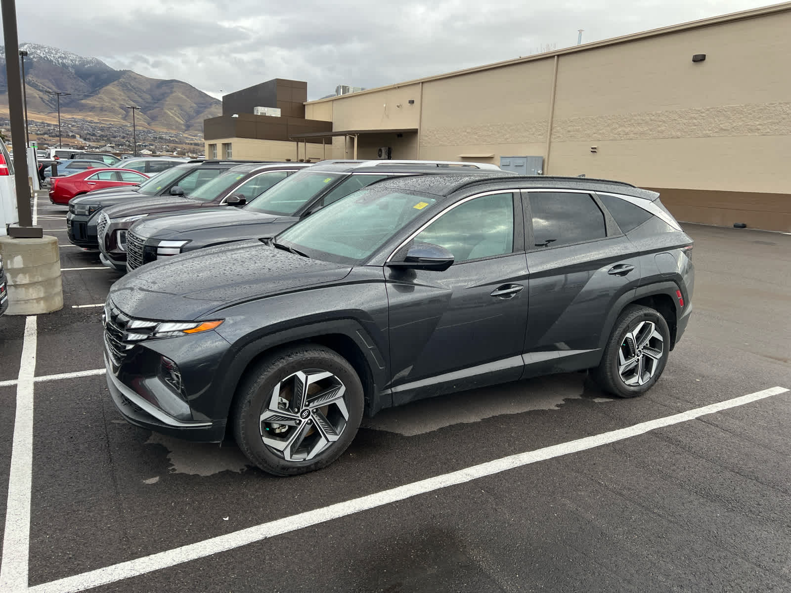 2023 Hyundai Tucson SEL's photo