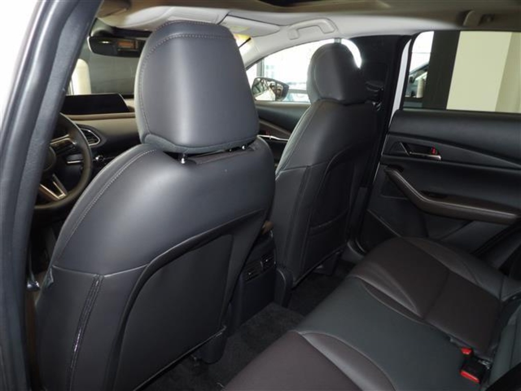 2025 Mazda CX-30 2.5 S Premium photo 22