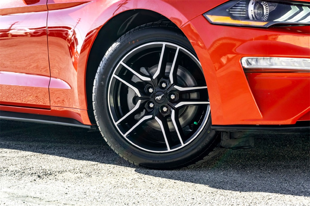 2023 Ford Mustang EcoBoost Premium photo 2