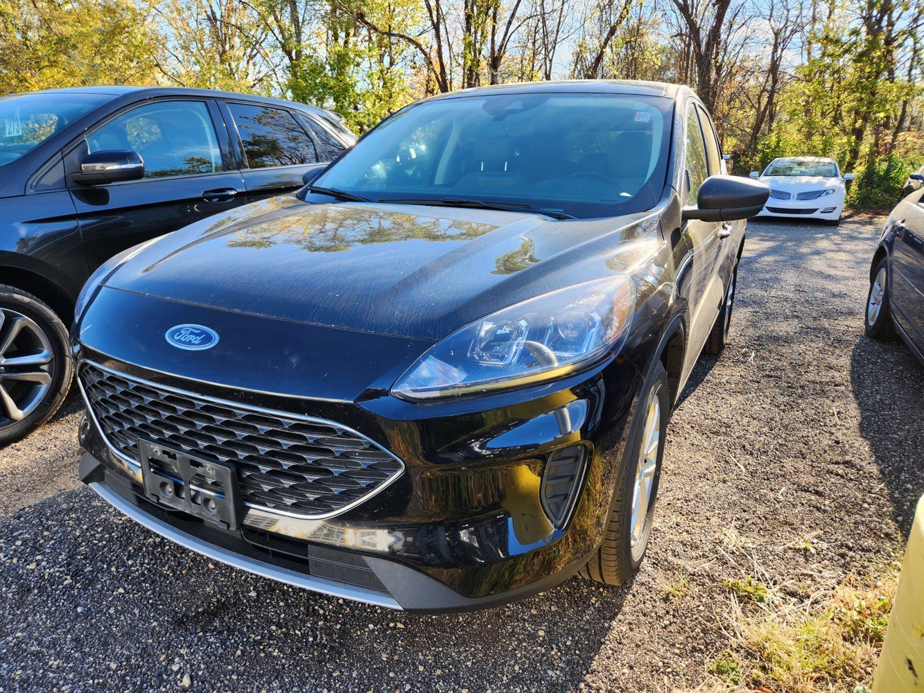 2022 Ford Escape SE Hybrid photo 2