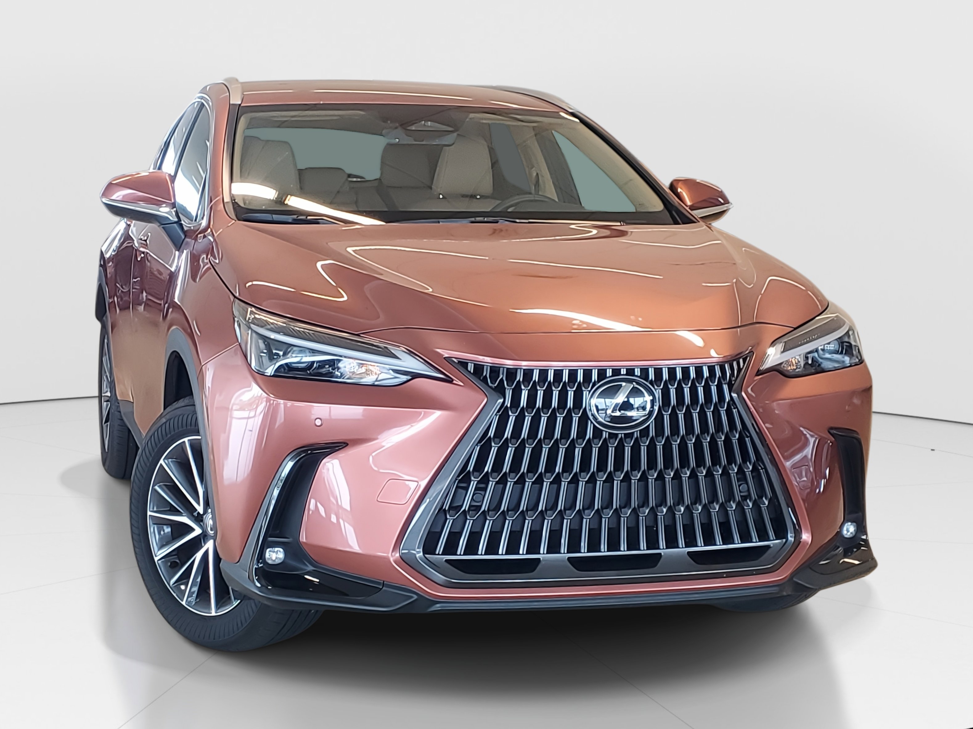 2025 Lexus NX 250 photo 3