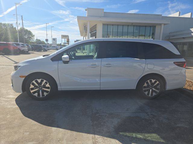 2026 Honda Odyssey EX-L photo 2