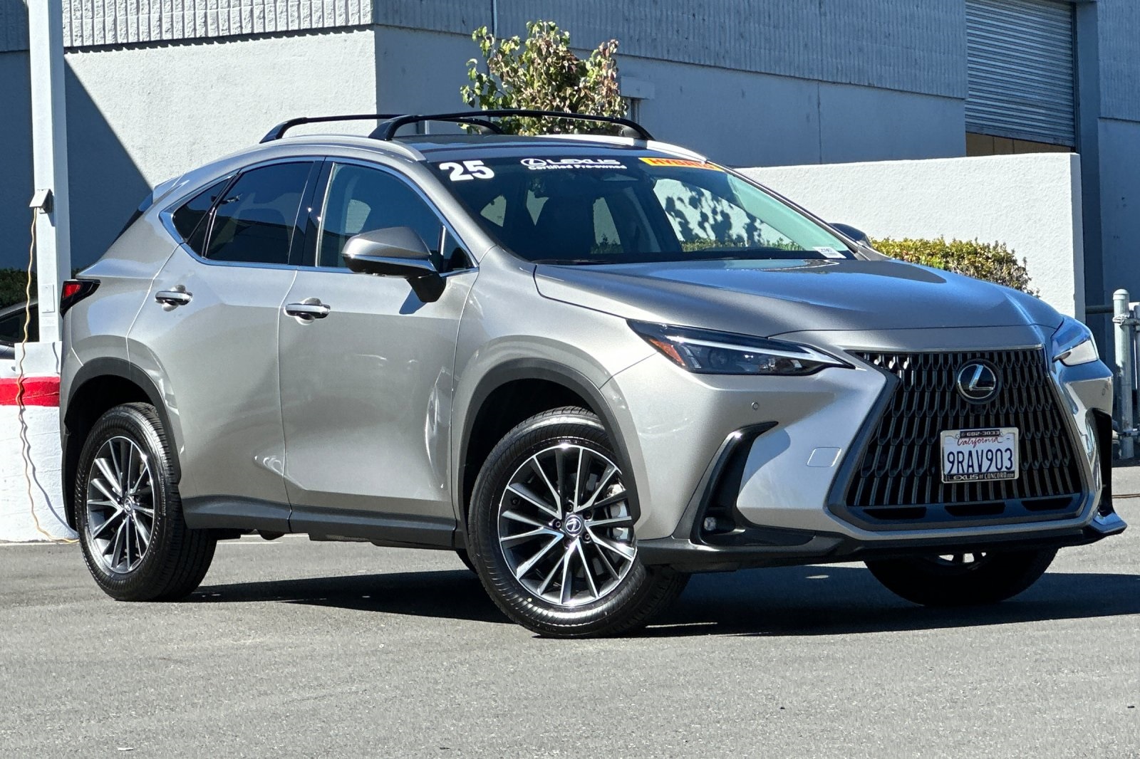 2025 Lexus NX 350h Premium photo 2