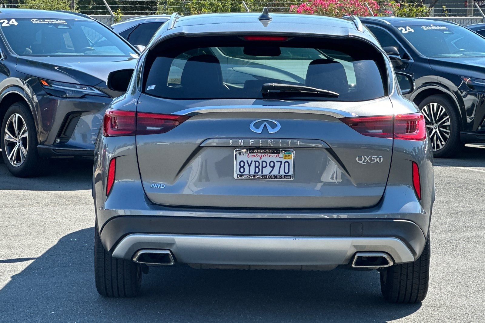 2019 Infiniti QX50 Luxe photo 5