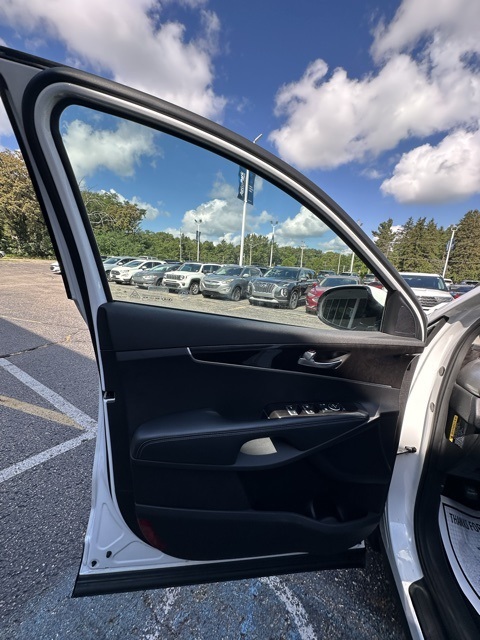2017 Kia Sorento LX photo 10