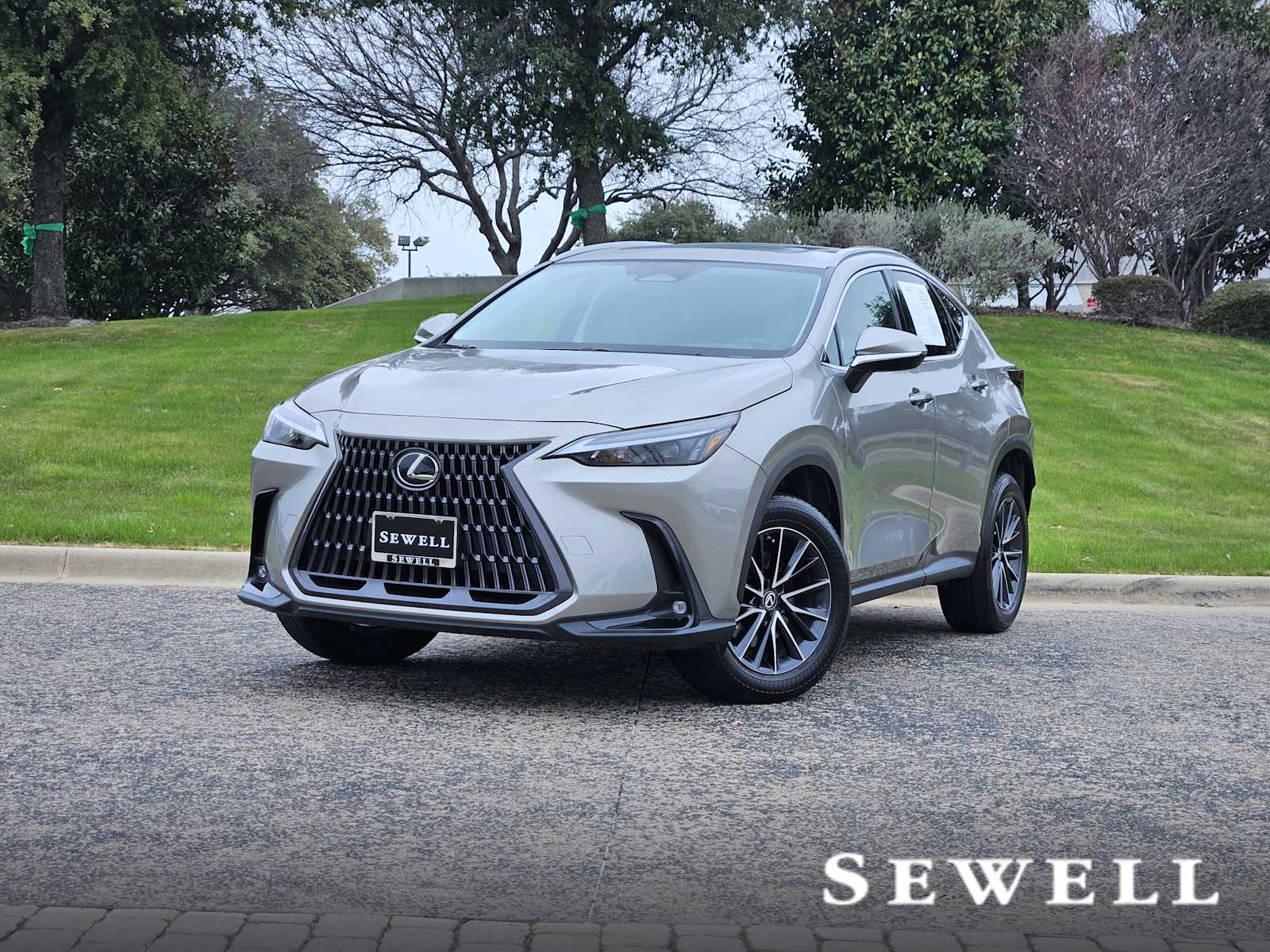 2022 Lexus NX Hybrid 350h's photo