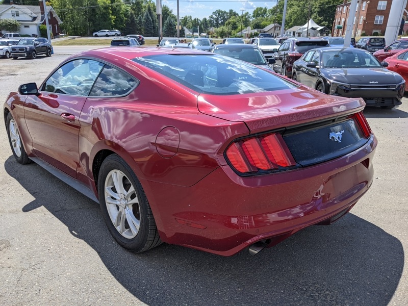 2015 Ford Mustang EcoBoost photo 5