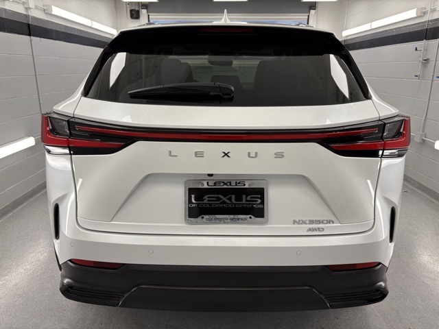 2025 Lexus NX Premium photo 3