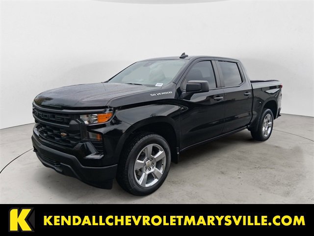 2024 Chevrolet Silverado 1500 Work Truck's photo