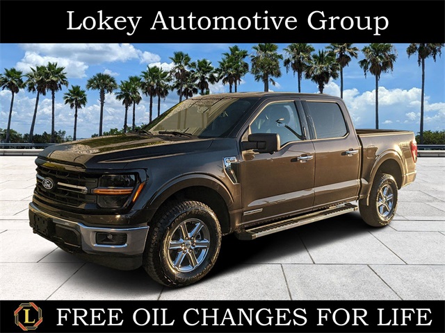 2024 Ford F-150 XLT's photo