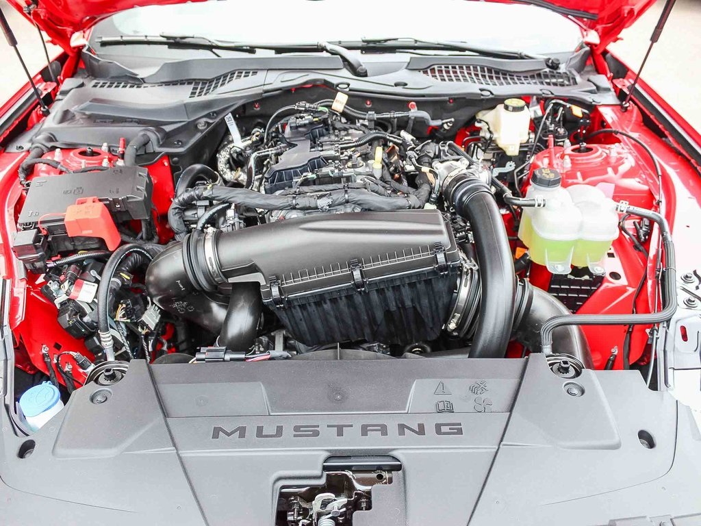 2025 Ford Mustang EcoBoost photo 26