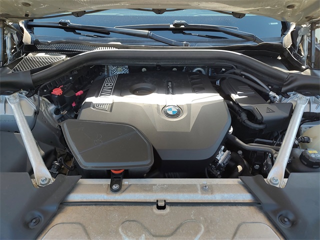 2019 Bmw X3 sDrive30i photo 31