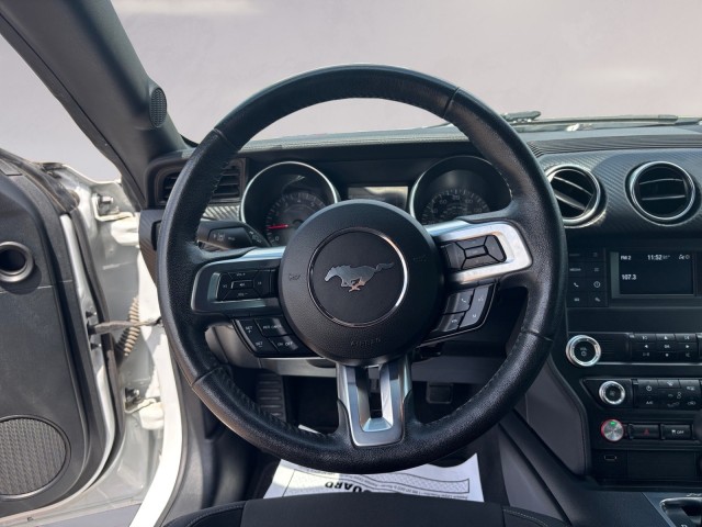 2023 Ford Mustang EcoBoost photo 12