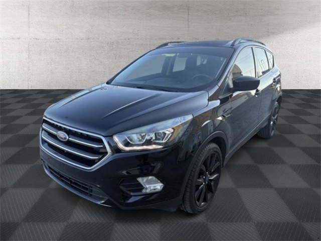 2019 Ford Escape SE photo 3