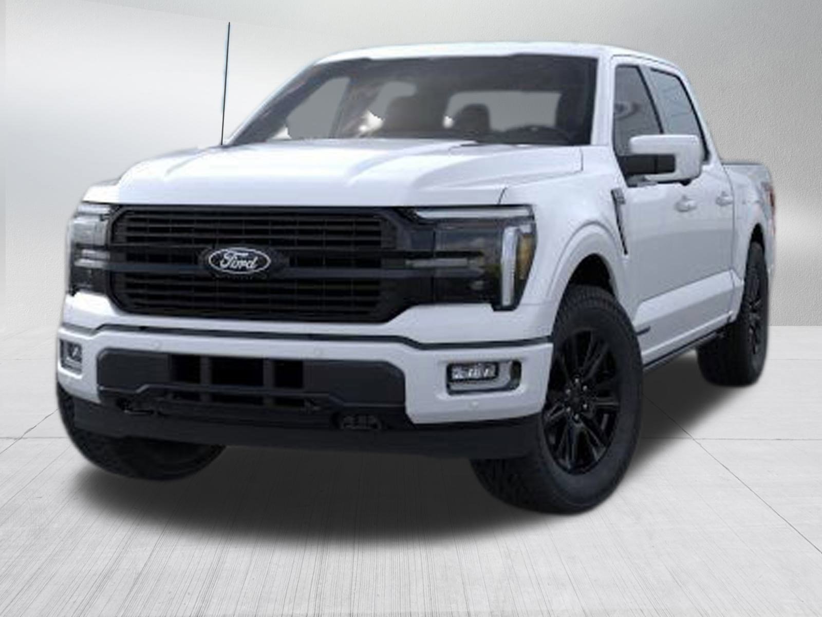 2025 Ford F-150 Platinum photo 2