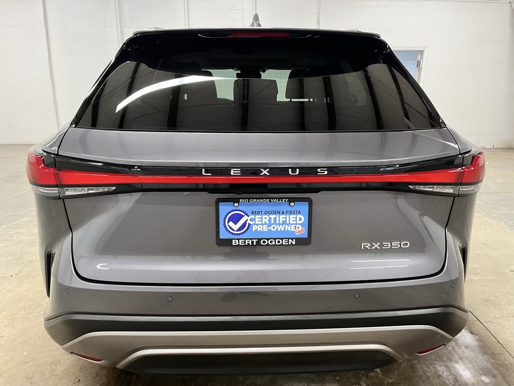 2023 Lexus RX 350 Luxury photo 6