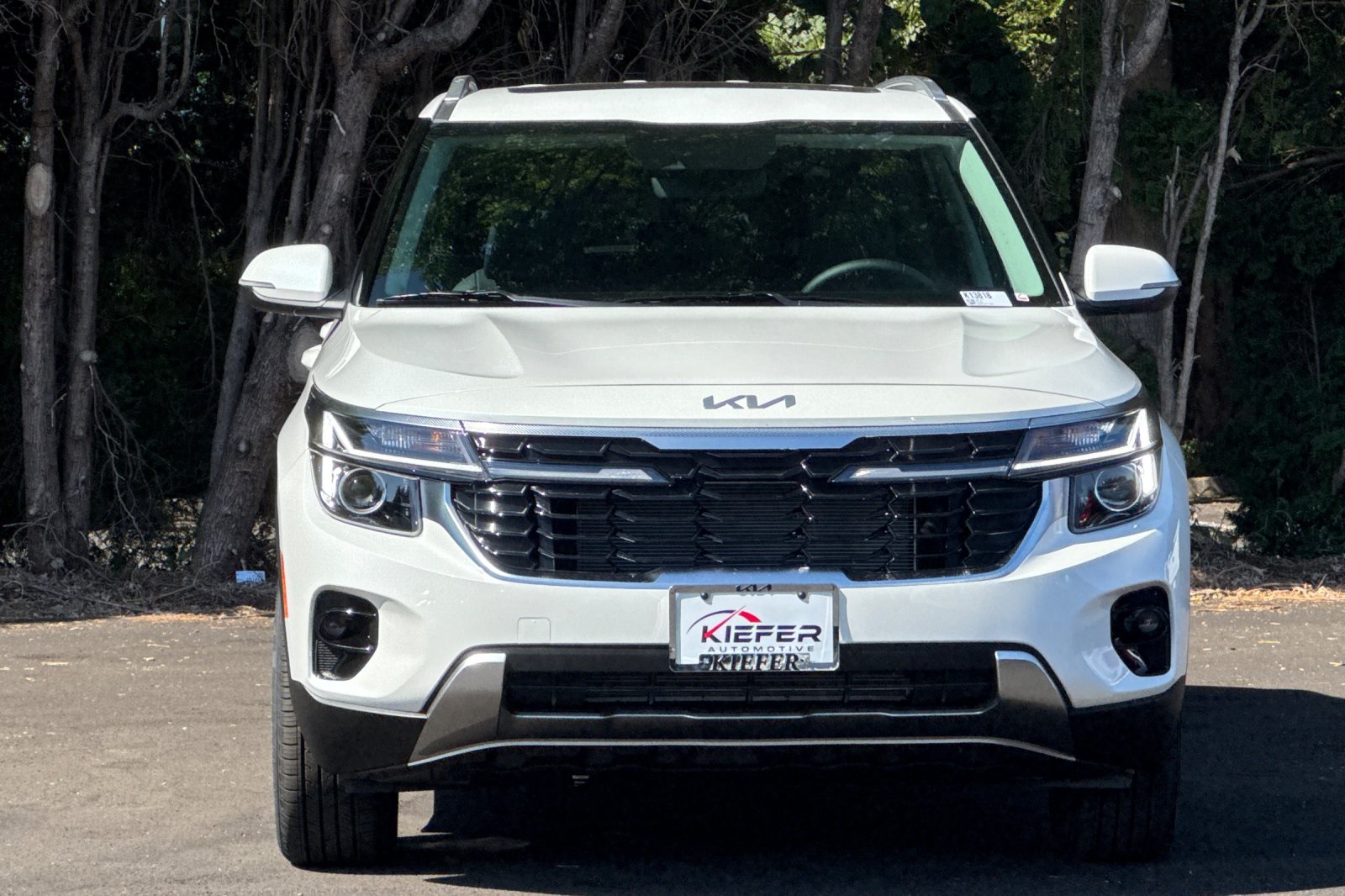 2026 Kia Seltos EX photo 3