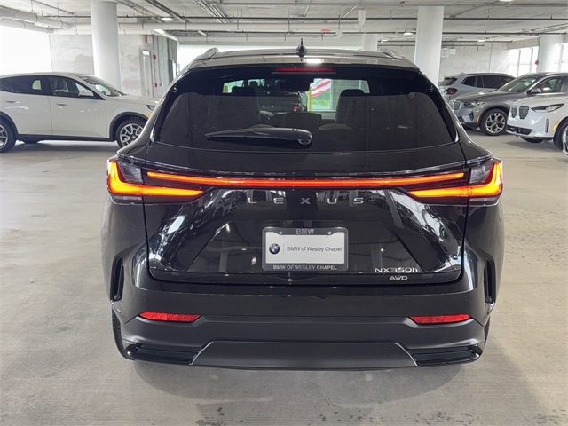 2023 Lexus NX 350h Luxury photo 6