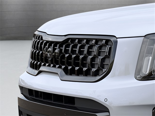 2025 Kia Telluride X-Line photo 11