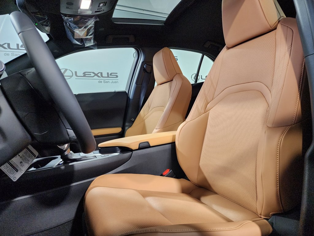 2025 Lexus UX photo 12