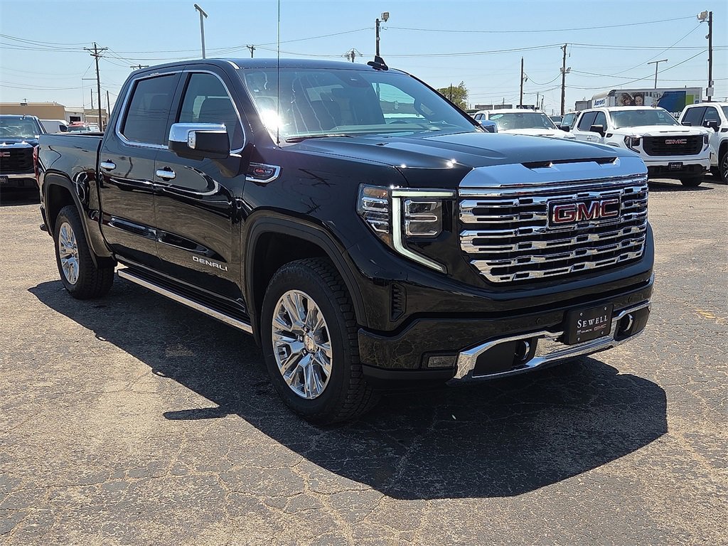 2025 Gmc Sierra 1500 Denali photo 6