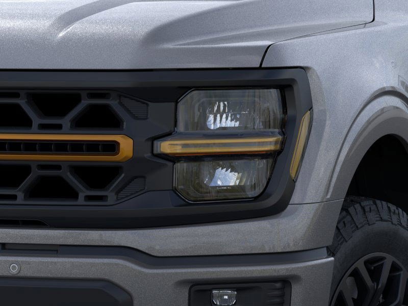 2025 Ford F-150 Tremor photo 2