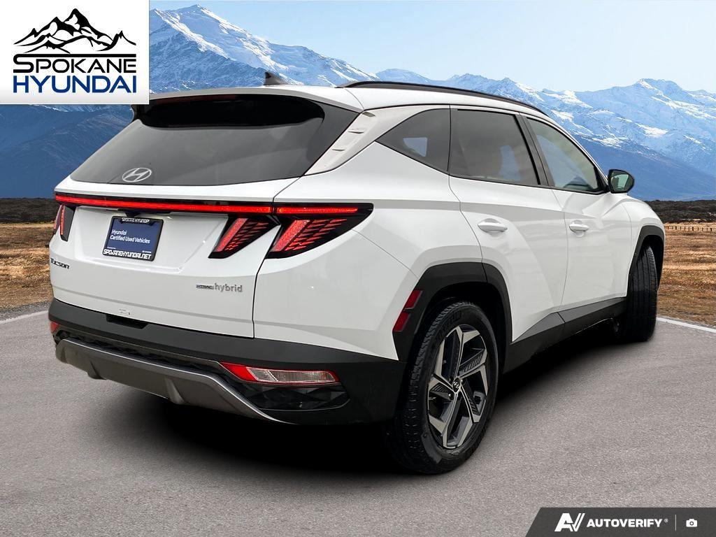 2024 Hyundai Tucson Hybrid Limited Sport photo 4