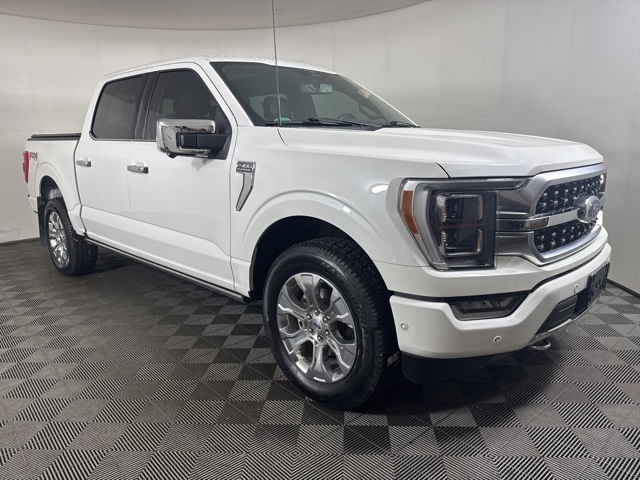 2023 Ford F-150 Platinum's photo